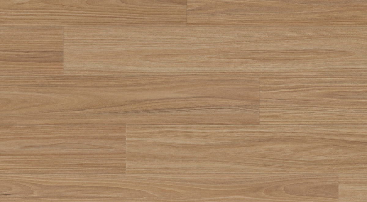 Lorien Blackbutt flooring